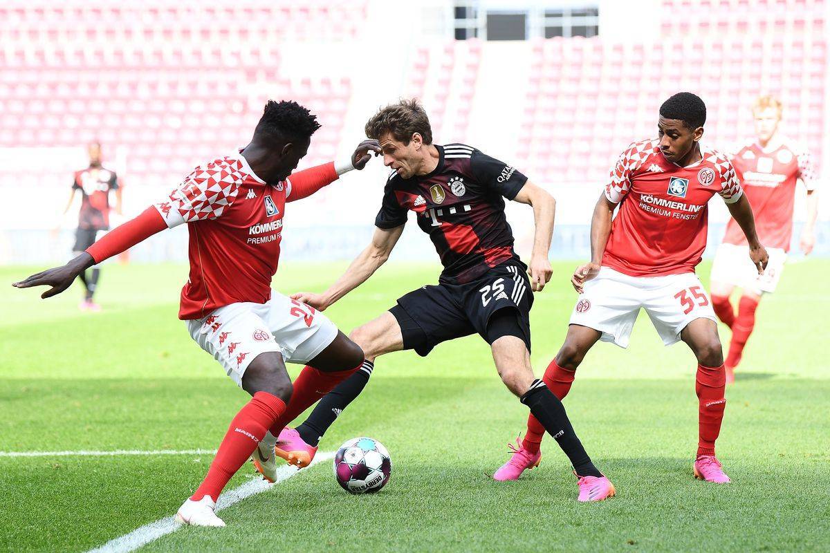 鸟都是可利 鸟都是可利