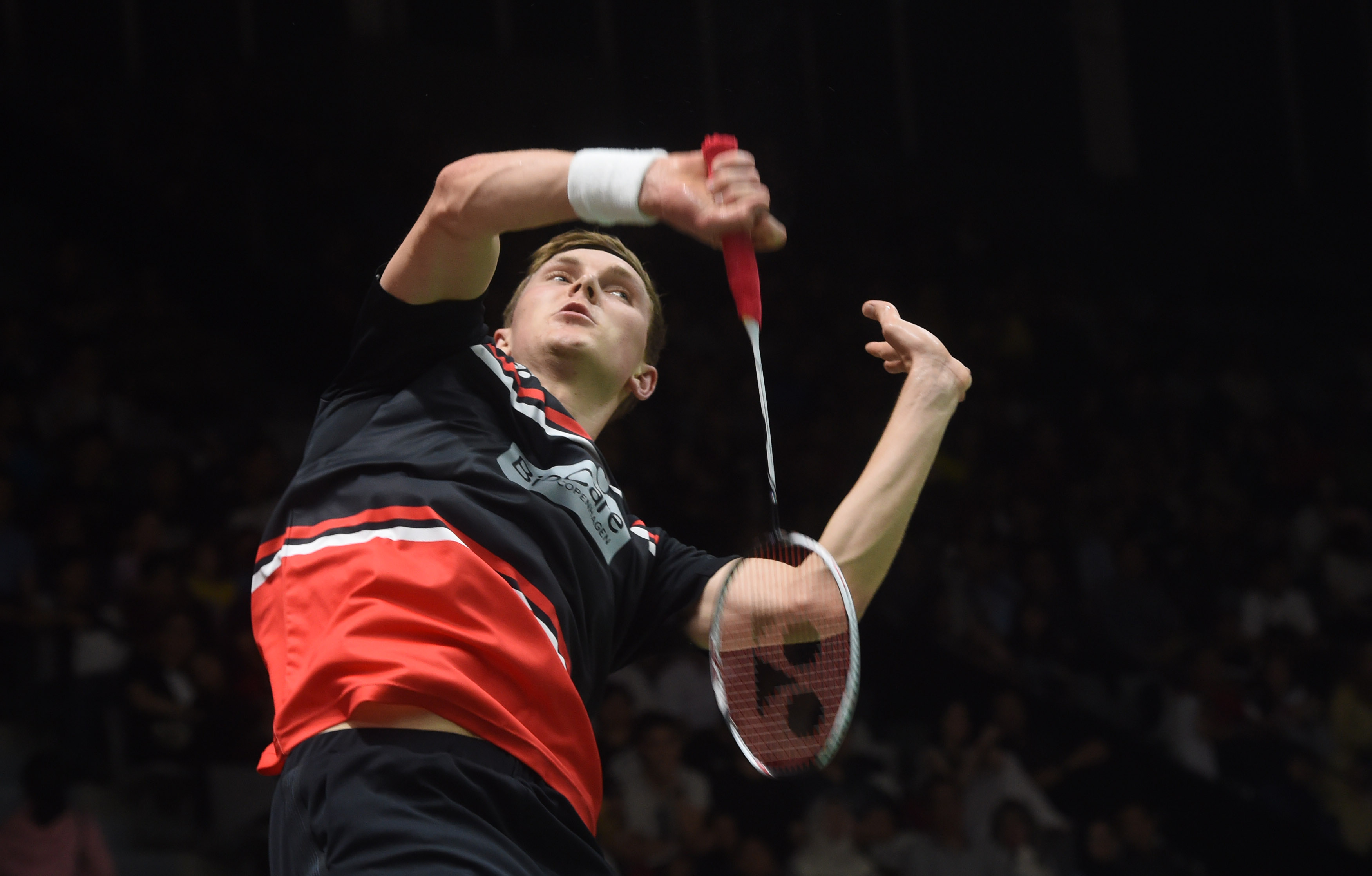 都希望借助 都希望借助