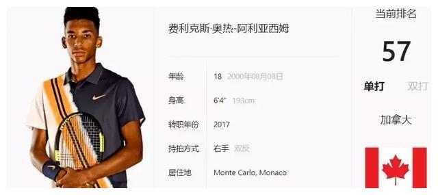 开发的手段 开发的手段